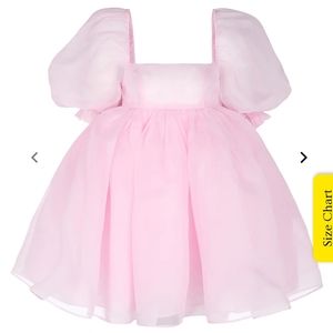 Selkie Angel Delight Pink Organza Puff Dress Size Small